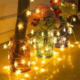 Pisca Pisca Estrela LED 20 Luzes 4 Metros para Decoração de Natal - Casas Gael
