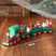 Trenzinho de Madeira Decoração Natal - Casas Gael